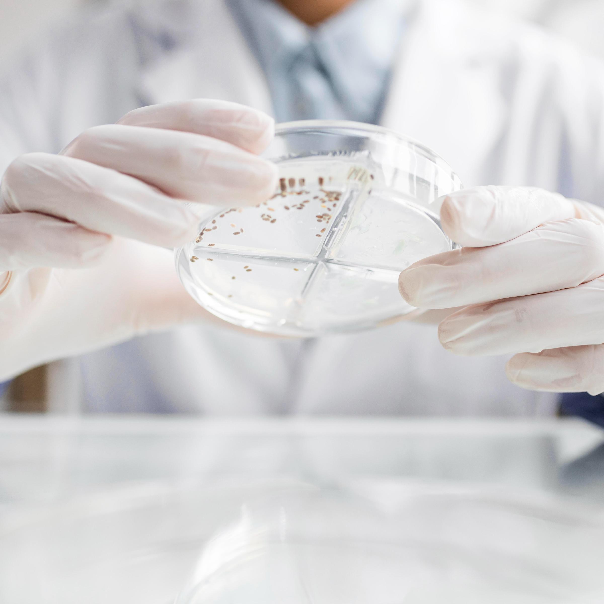 Scientist investigating about probiotics in a biotech lab