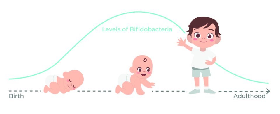 Gut microbiota in early stages of life — AB-BIOTICS