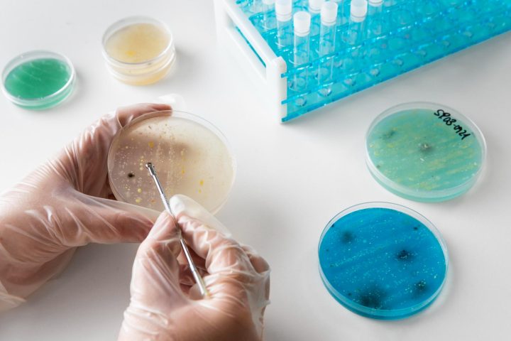 Private bank of probiotic strains